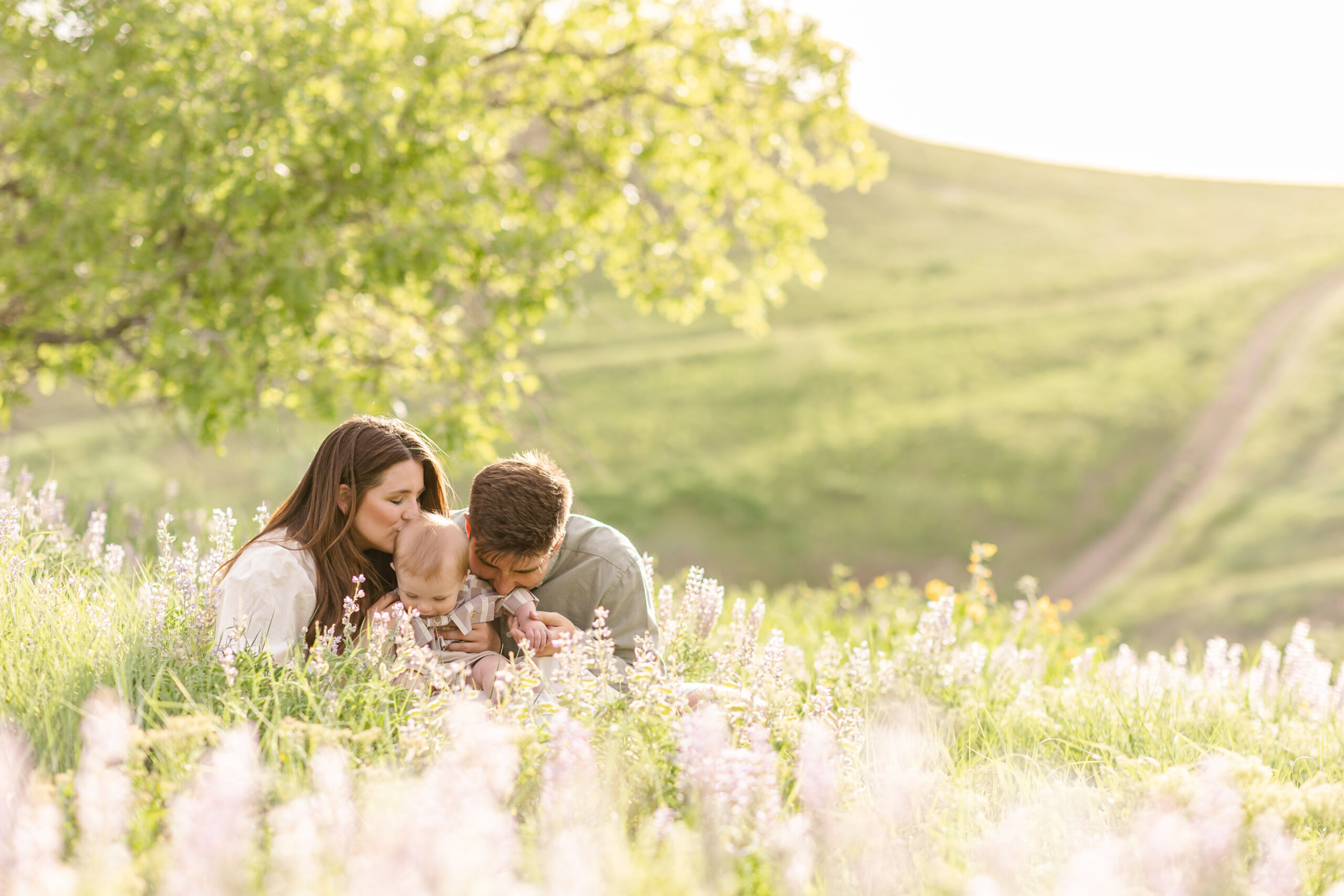family in flower field in davis county utah during family pictures